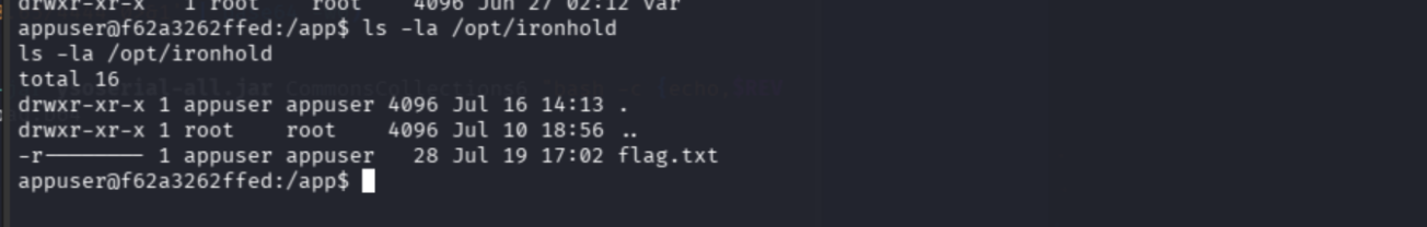 ls -la /opt/ironhold showing flag.txt